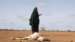 Eine binnenvertriebene Somalierin steht neben ihrem wegen der Dürre verendeten Vieh (Archivbild vom Mai 2022)