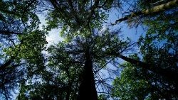 Ілюстрацыйнае фота