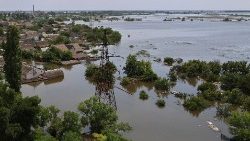 In der Region Cherson, an diesem Freitag