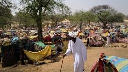 सूडान से पलायन करनेवाले खोज रहे अन्यत्र शरण, तस्वीरः 12.07.2023