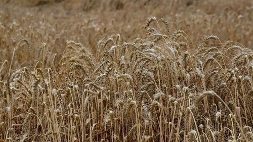 Getreideabkommen: Ukraine und Diplomaten arbeiten an Verlängerung