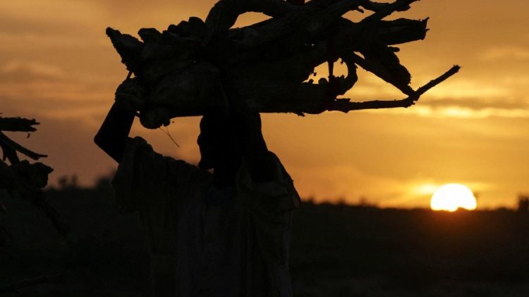 Sudaner med trestykker på vei til sitt provisoriske krypinn i Tsjad 5. august 2023.