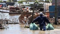 Aftermath of widespread flooding in Western Cape Town