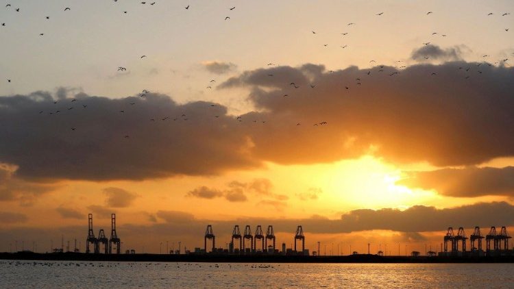 Wandervögel am Abendhimmel in Ägypten