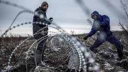 Workers install razor wire as a part of defence structures near a front line in the Kharkiv region