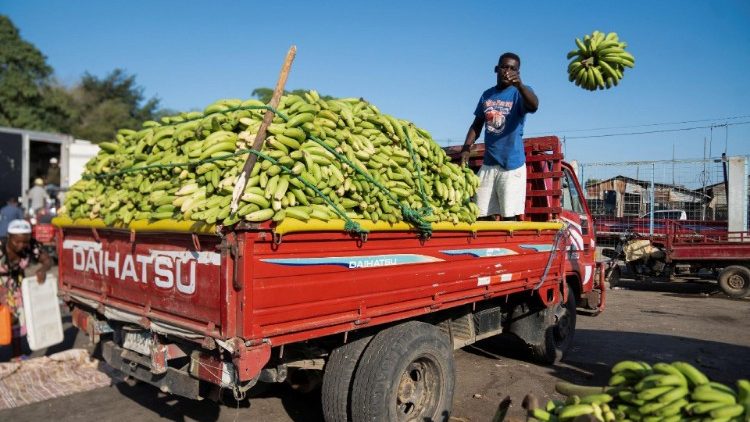 Kleinbauern in der Dominikanischen Republik