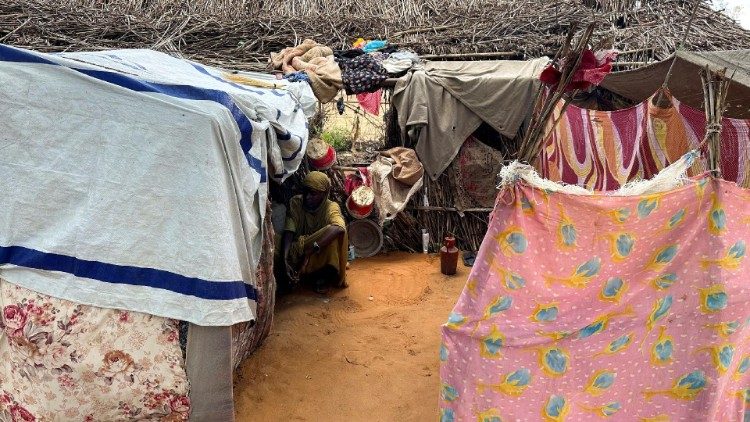 A displaced Sudanese woman rests inside a shelter at Zamzam camp in North Darfur
