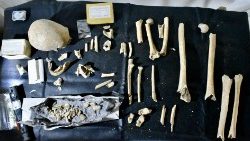 Парэшткі, якія, паводле новага даследавання, належаць біскупу Тэадаміру