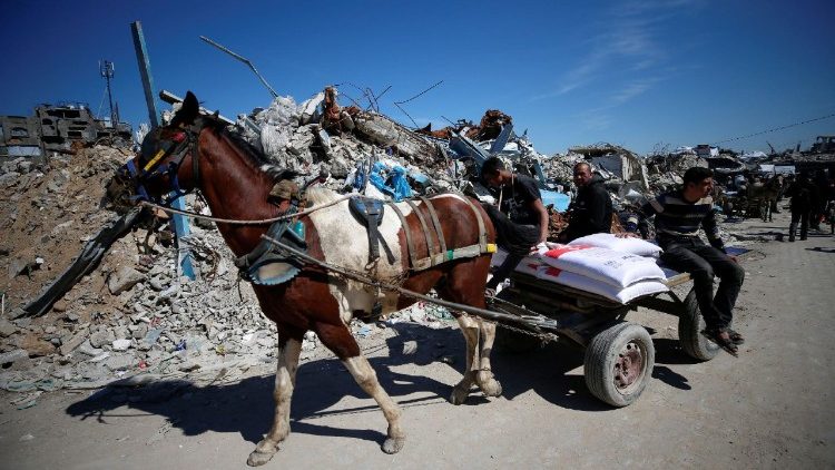 Gaza Strip residents collect food aid provided by UNRWA