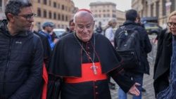 Cardinals arrive in the Vatican for general congregation meetings