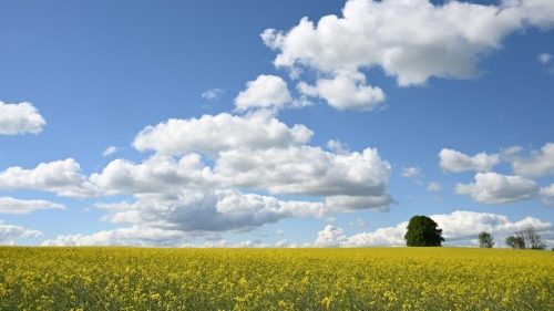 D: Oberzeller Franziskanerinnen bekommen neue Leitung