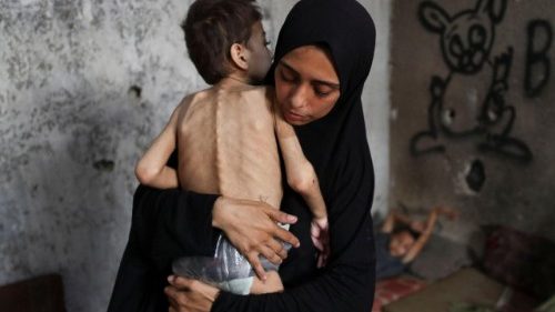 Před hrůzou v Gaze nelze odvrátit zrak