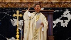 കർദ്ദിനാൾ ലൂയിസ് അന്തോണിയൊ തഗ്ലേ. കത്തോലിക്കാ സ്വാധീനശാലികളുടെയും  ഡിജിറ്റൽ പ്രേഷിതരുടെയും ജൂബിലിയാചരണ ദിവ്യബലി വേളയിൽ, 29/07/25