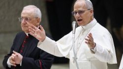 संत पापा लियो बुधवारीय आमदर्शन समारोह में