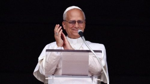  पोप के जन्म दिवस पर लोगों की शुभकामनाएँ एवं पोप लियो का आभार 