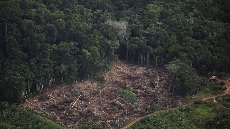 Una visione aerea di una parte della foresta amazzonica disboscata