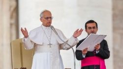 Папа падчас агульнай аўдыенцыі ў Ватыкане