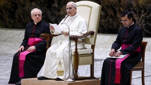 Catequesis de Le&oacute;n XIV: "Custodiar el dep&oacute;sito de la fe y transmitirla con fidelidad"