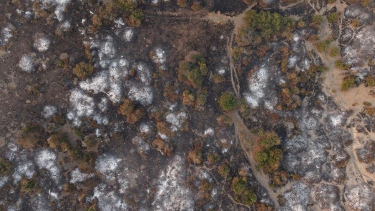 Incendios en Argentina, 29 de enero de 2026