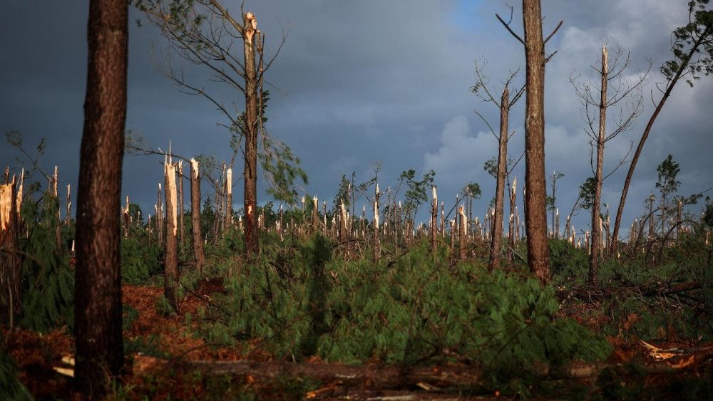 Consequências da tempestade Kristin em Portugal. REUTERS/Pedro Nunes