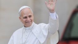 ಜಗದ್ಗುರು XIV ನೇ ಲಿಯೋ ರವರು ಸಾಮಾನ್ಯ ಪ್ರೇಕ್ಷಕರಲ್ಲಿ ನವವಿವಾಹಿತ ದಂಪತಿಗಳನ್ನು ಭೇಟಿಯಾಗುತ್ತಾರೆ