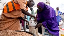 La distribuzione di aiuti del Programma alimentare mondiale nello stato nigeriano del Borno