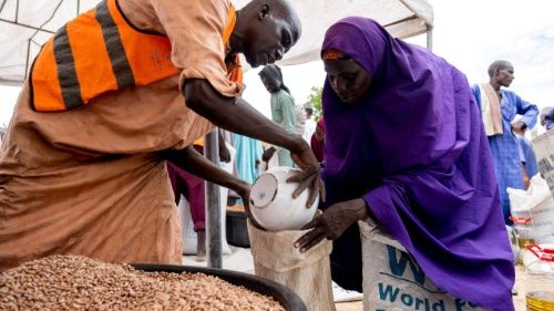 Le nord-est du Nigeria face &agrave; une une crise humanitaire et s&eacute;curitaire 