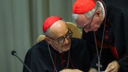 Pope Leo presents his first, AI-focused encyclical "Magnifica humanitas" at the Vatican