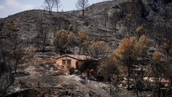Dampak kebakaran hutan di Almería 