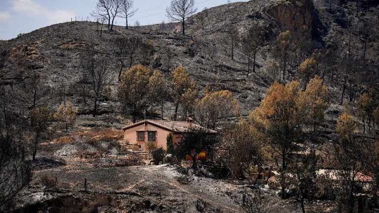 Dampak kebakaran hutan di Almería 