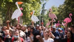 Protesta dalībnieki Tirānā