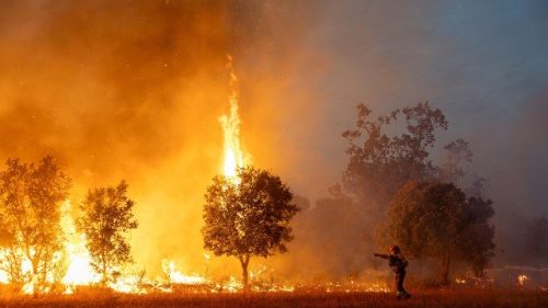Waldbr&auml;nde in Spanien: Kloster evakuiert