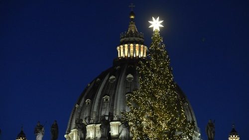 Começam as preparações do Natal no Vaticano com a chegada do pinheiro na Praça São Pedro