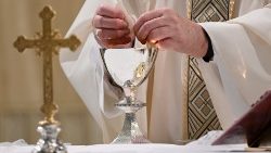 Папа падчас св. Імшы ў капліцы сваёй рэзідэнцыі