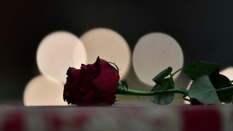 Eine rote Rose zum Gedenken an den emeritierten Papst Benedikt XVI.