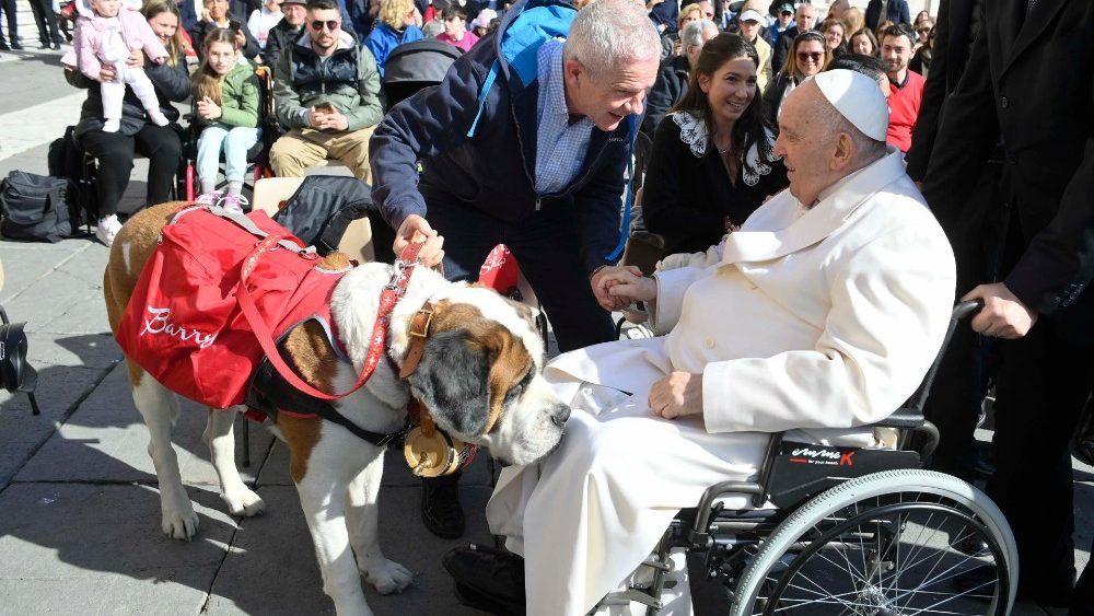 Bernhardinerhund Magnum und Herrchen Claudio Rossetti bei der Generalaudienz mit dem Papst