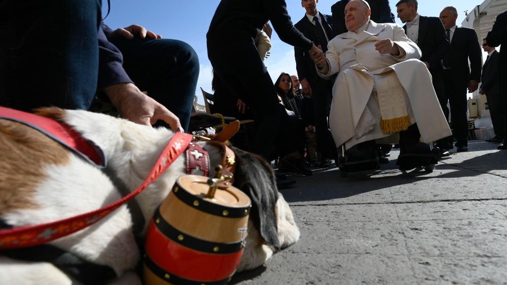 Bernhardinerhund Magnum bei der Generalaudienz mit dem Papst
