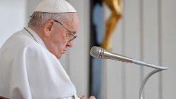 Папа Франциск (Общая аудиенция в Ватикане 3 мая 2023 г.)