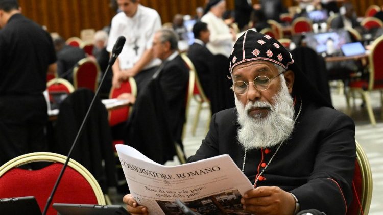 Ze synodn&iacute; auly