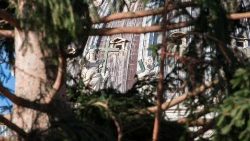 12월 9일, 성 베드로 광장 성탄 구유와 성탄 나무 점등식