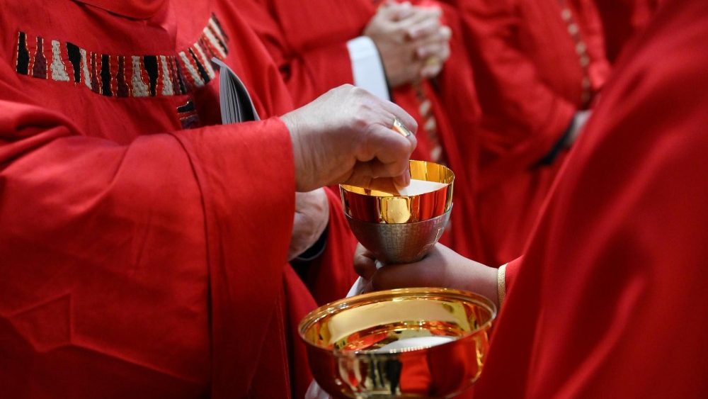 Падчас ватыканскай Імшы ў нядзелю Спаслання Духа Святога