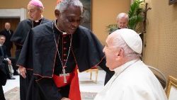 Franziskus mit Kardinal Turkson bei einer Konferenz der Päpstlichen Akademie der Wissenschaften