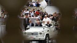 El Papa en la audiencia general del pasado 19 de junio de 2024