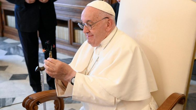 Z&aacute;běr z audience