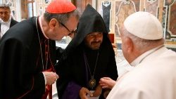 Аўдыенцыя для ўдзельнікаў пасяджэння ROACO