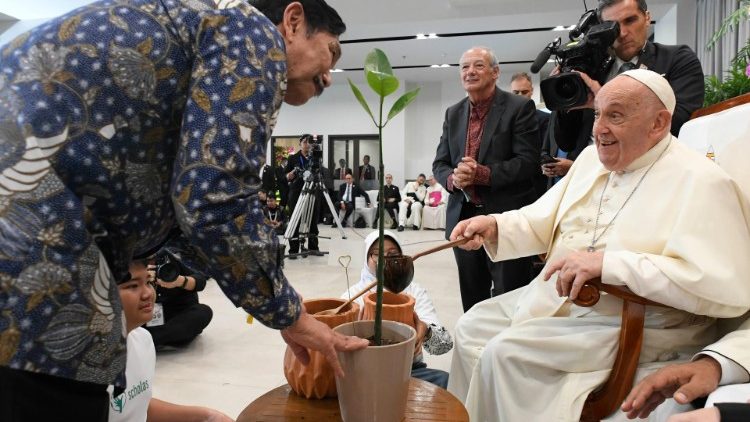 Le Pape plantant une mangrove. 