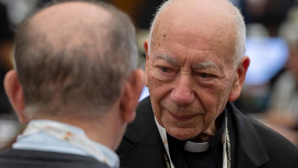 2024.10.07 Sinodo dei Vescovi - Circoli Minori