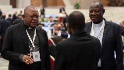 Удзельнікі Сінода Біскупаў