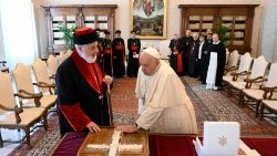 Pope Francis meets with Mar Awa III, Catholicos-Patriarch of the Assyrian Church of the East on November 9, 2024