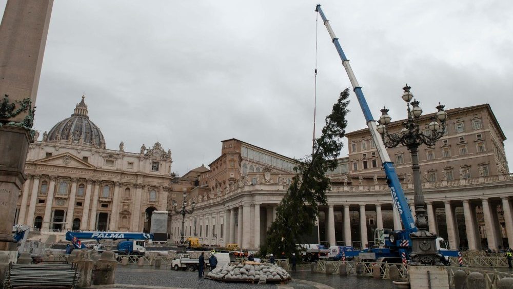 Калядная елка на плошчы Святога Пятра ў Ватыкане